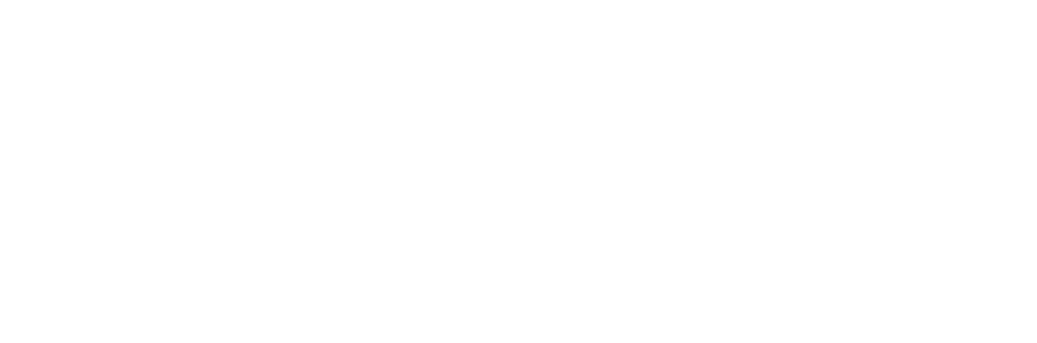 Woodstock Volkswagen